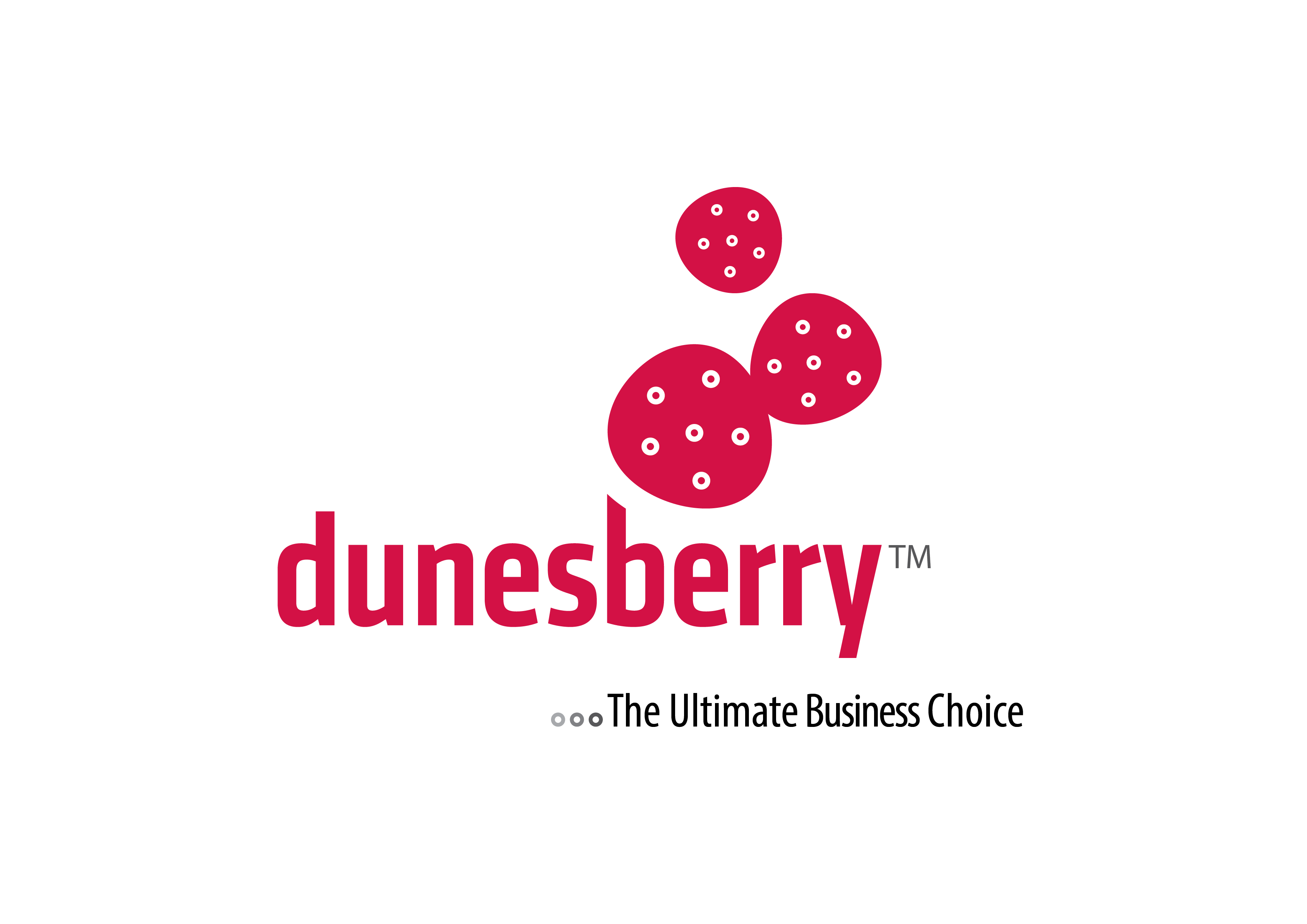 Dunesberry Communications and Information Technology Company